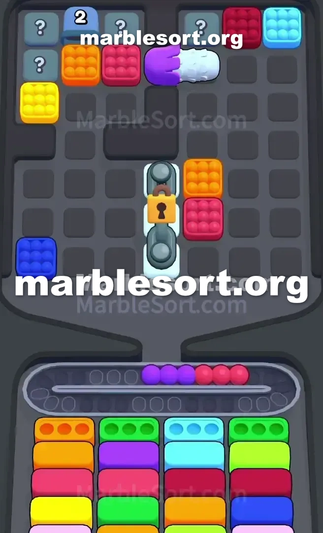Marble Sort Level 504 screenshot 3