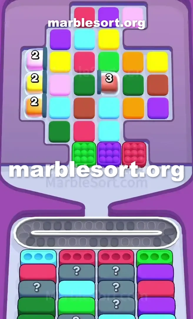 Level 555