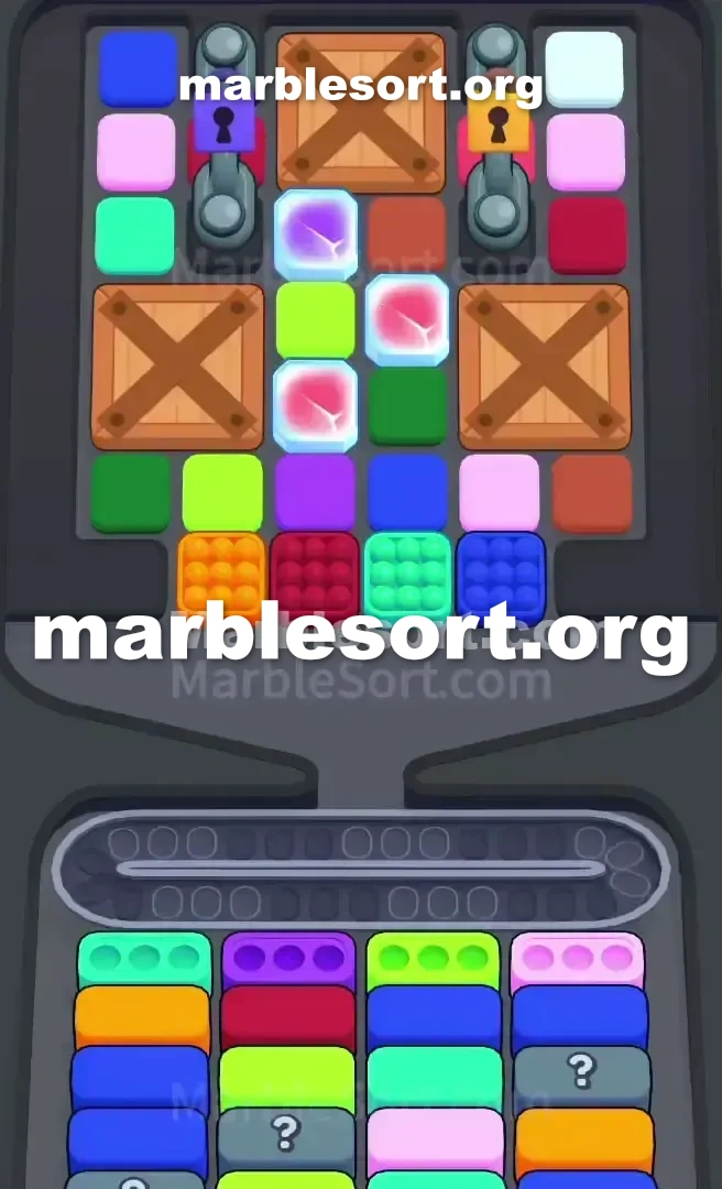Level 804
