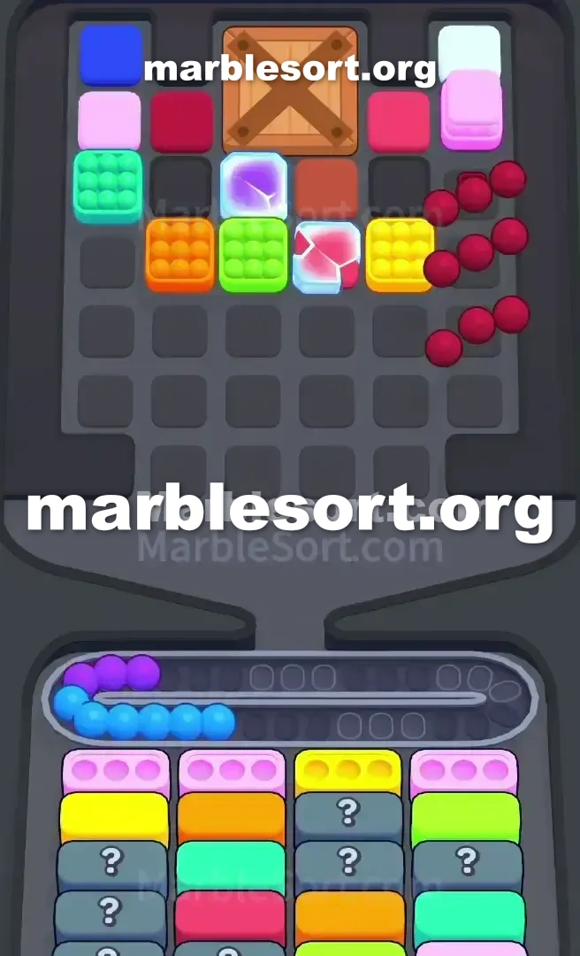 Marble Sort Level 804 screenshot 2